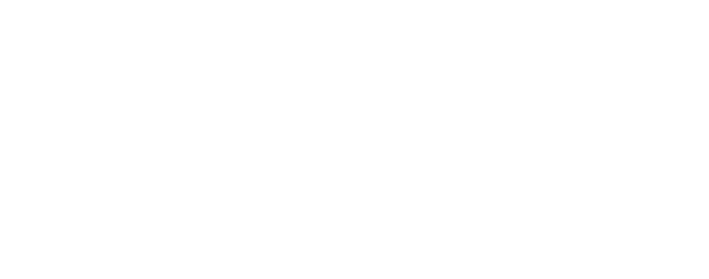 Demir Design & Build